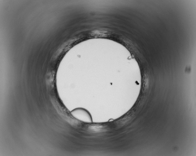 X0000112490759200909281133