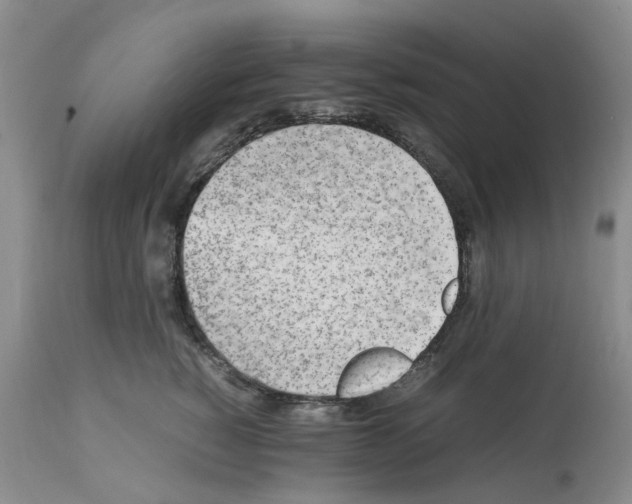 X0000112490760200909281133