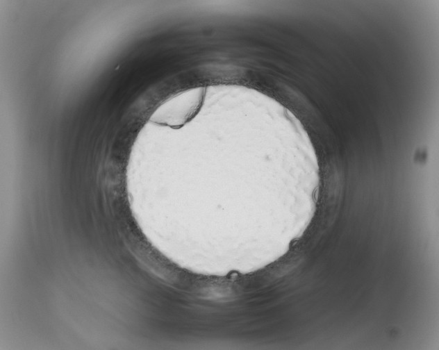 X0000112490761200909281133