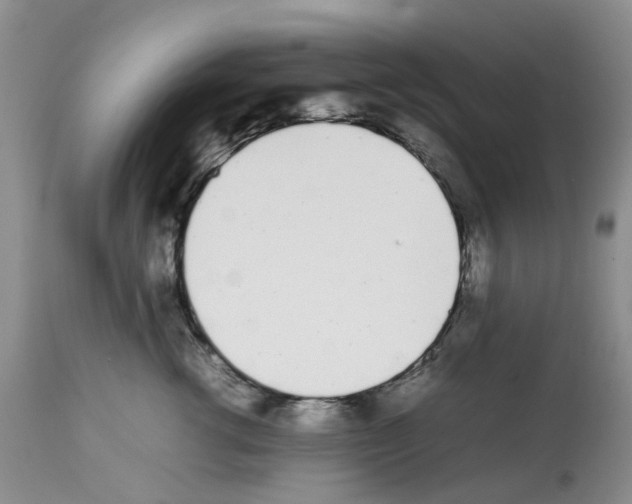 X0000112490762200909281133