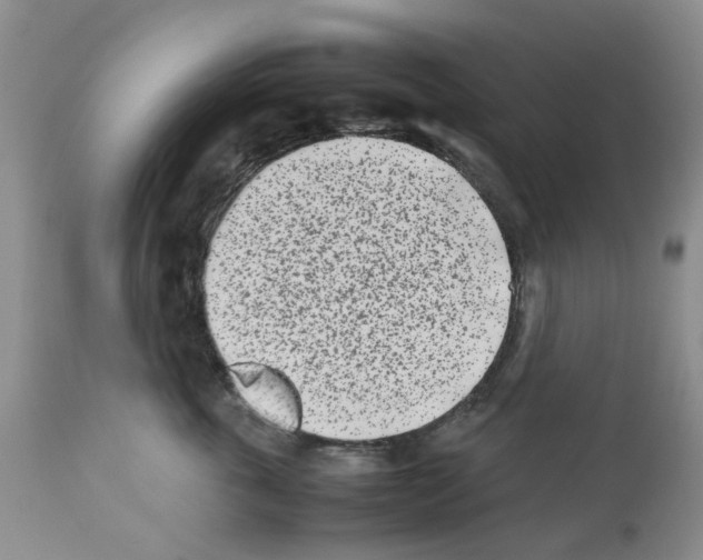 X0000112490763200909281133