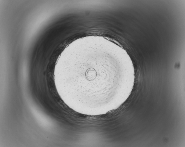 X0000112490764200909281133