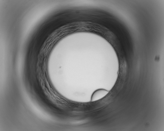 X0000112490765200909281133