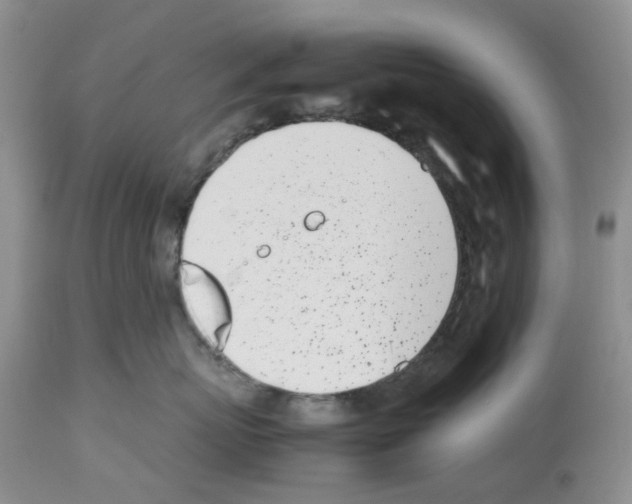 X0000112490767200909281133
