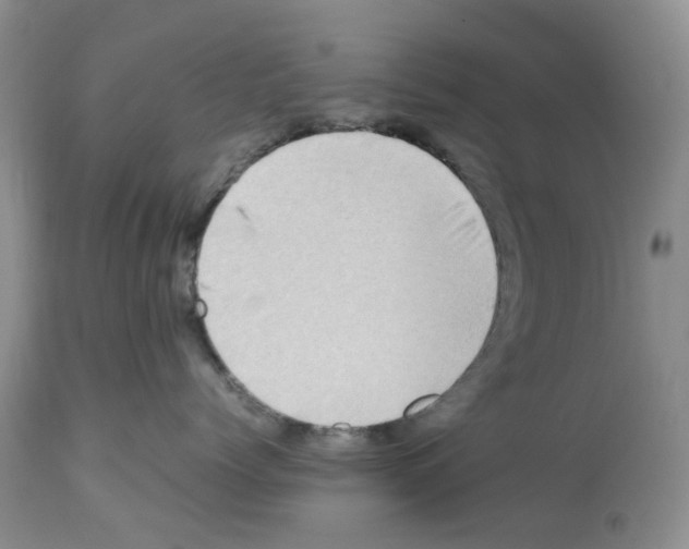 X0000112490768200909281133