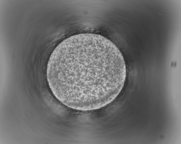 X0000112490769200909281132
