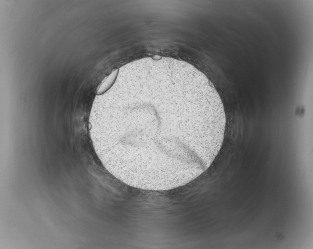 X0000112490770200909281132