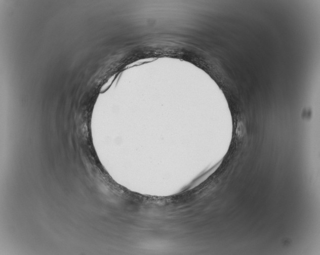 X0000112490771200909281132
