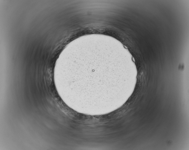 X0000112490772200909281132
