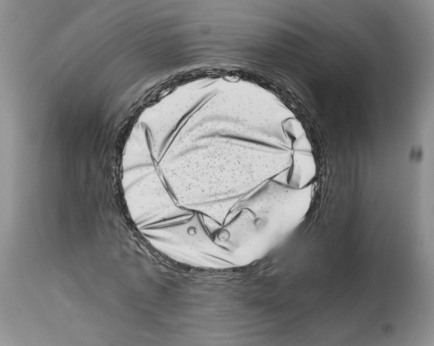 X0000112490773200909281132
