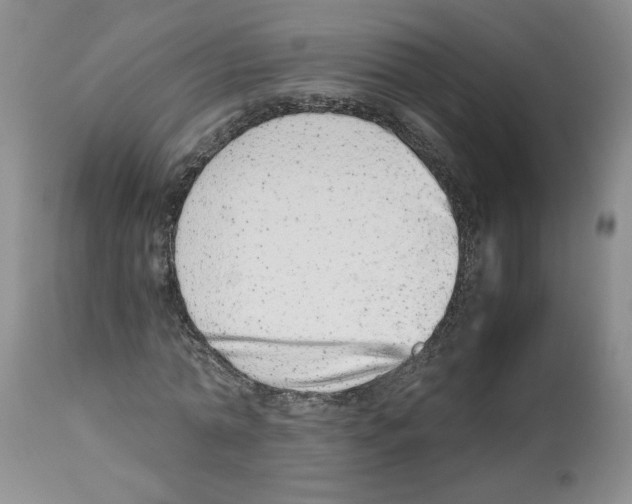 X0000112490774200909281132