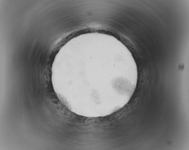 X0000112490776200909281132