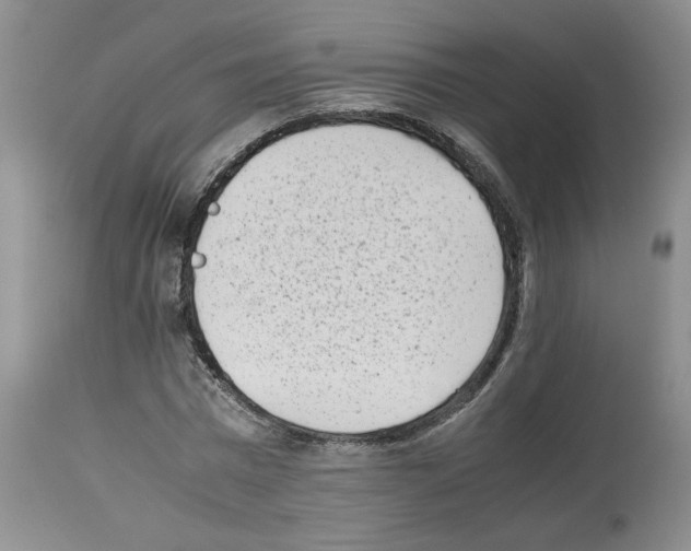X0000112490777200909281132