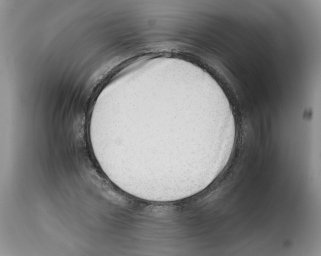 X0000112490778200909281132