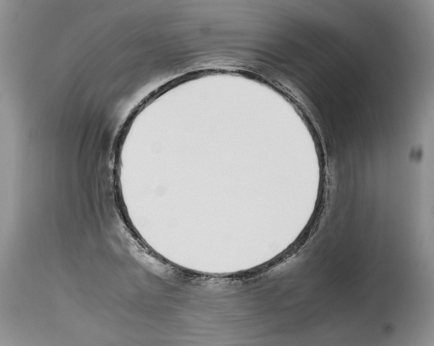 X0000112490779200909281132