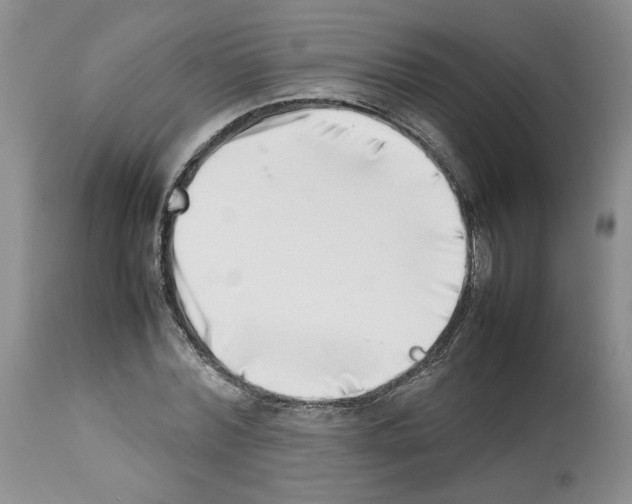 X0000112490780200909281132