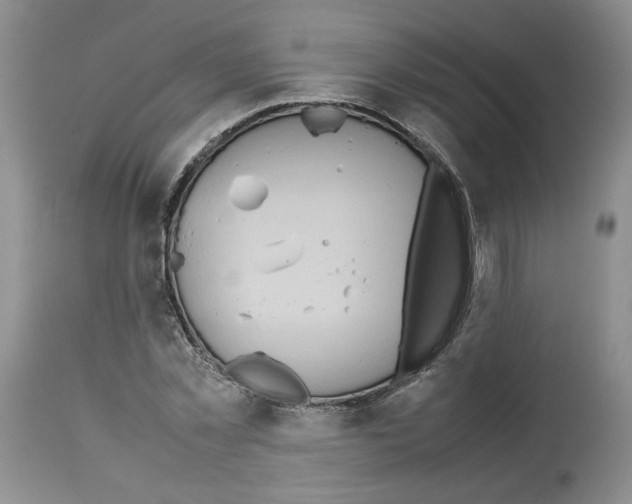 X0000112490781200909281132