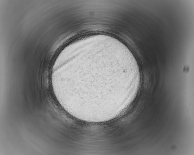 X0000112490782200909281132