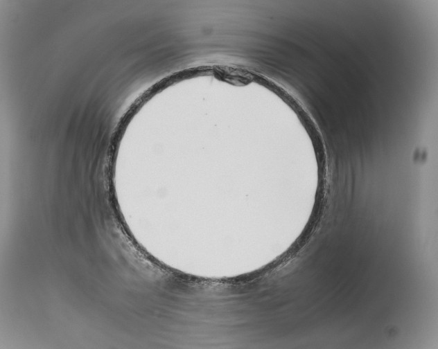 X0000112490783200909281132