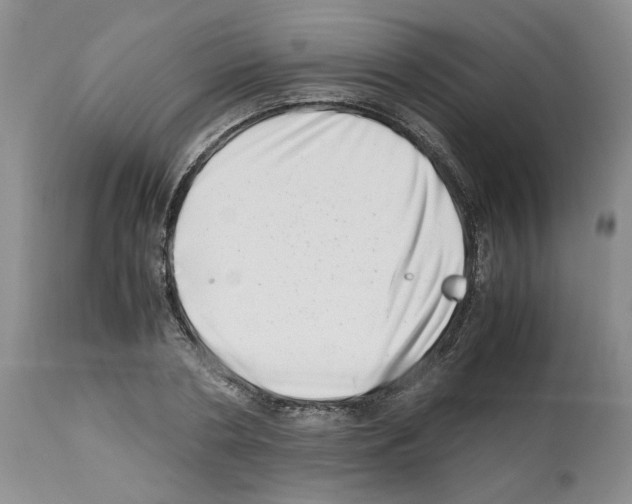 X0000112490786200909281132