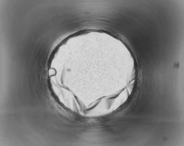 X0000112490787200909281132