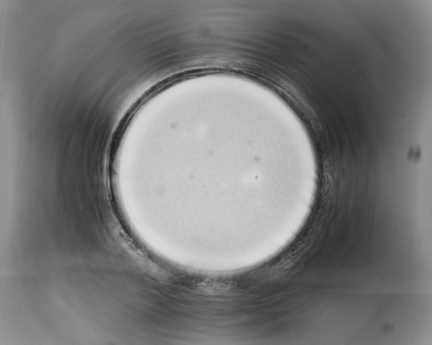 X0000112490788200909281132
