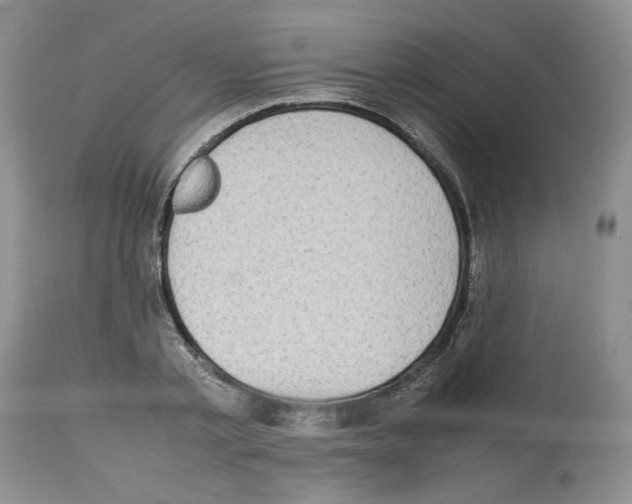 X0000112490789200909281132