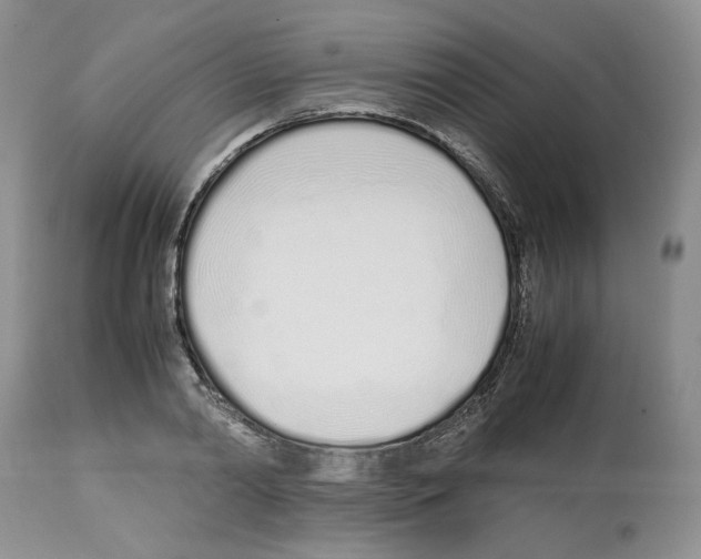 X0000112490790200909281132