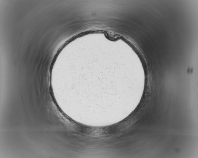 X0000112490791200909281132