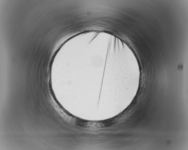 X0000112490795200909281132