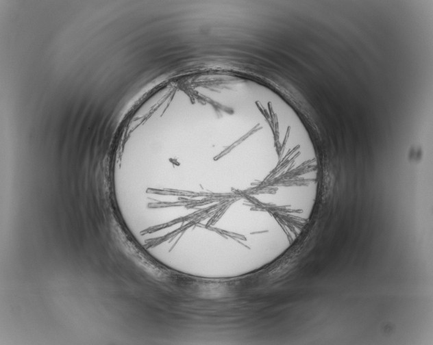 X0000112490798200909281132