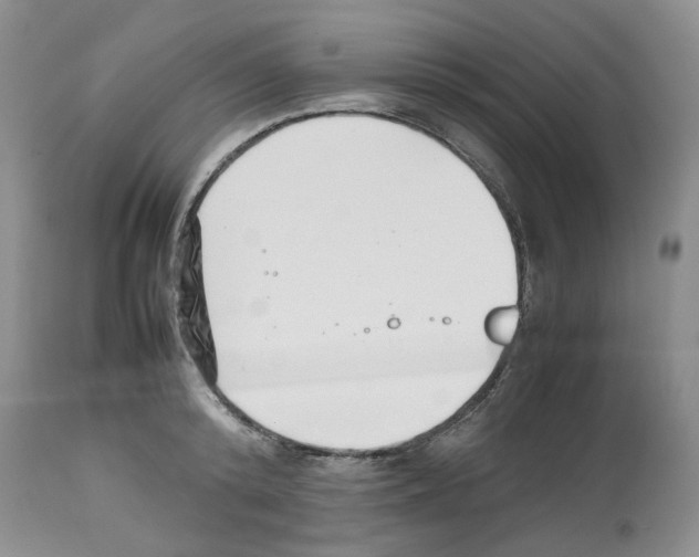 X0000112490800200909281131