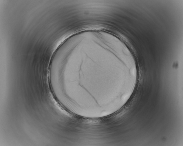 X0000112490802200909281131