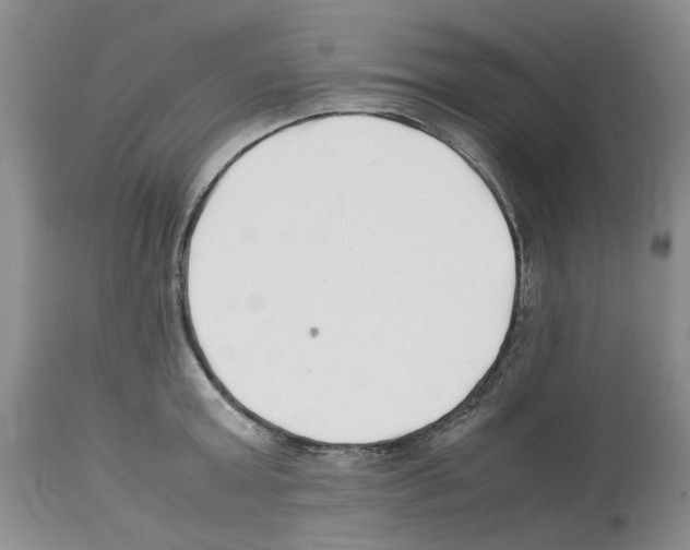 X0000112490803200909281131