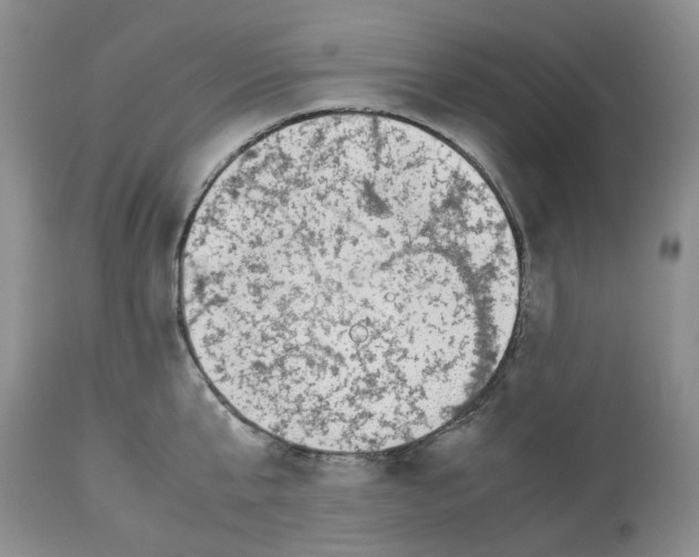 X0000112490807200909281131