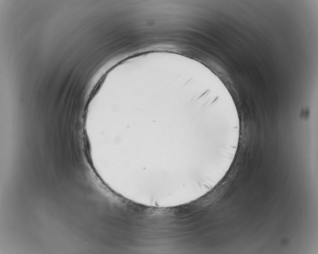 X0000112490808200909281131