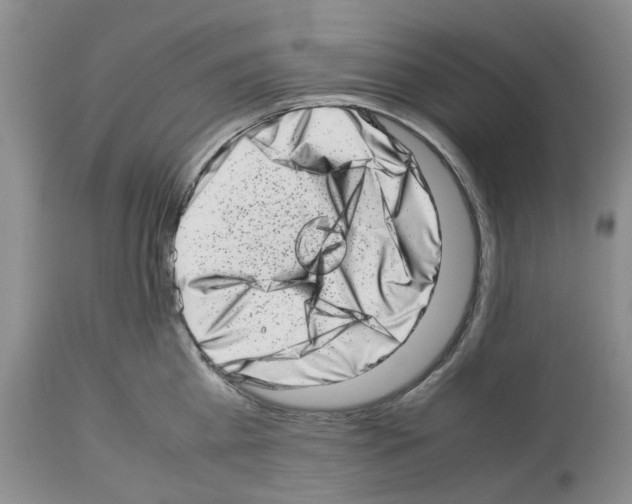 X0000112490809200909281131