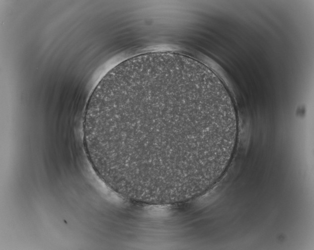 X0000112490810200909281131