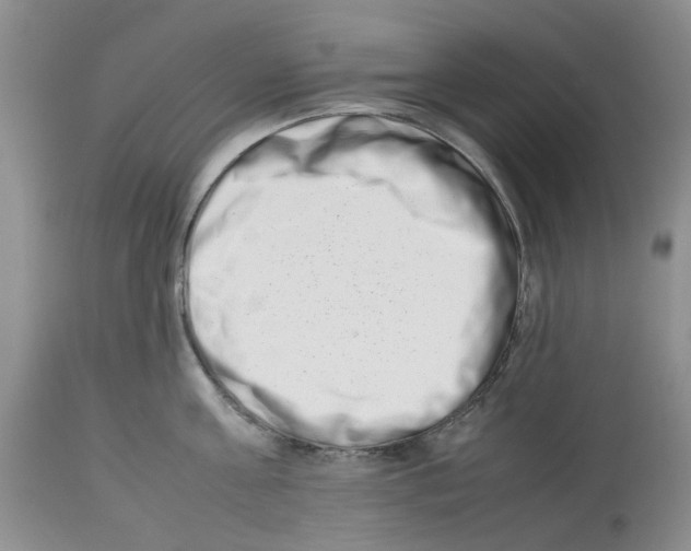 X0000112490811200909281131