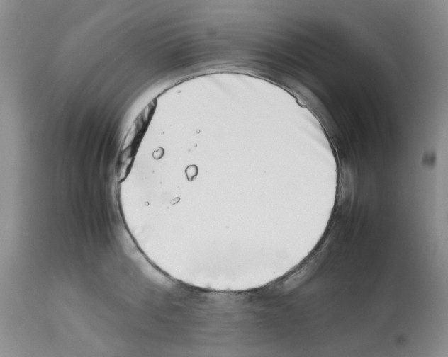 X0000112490812200909281131