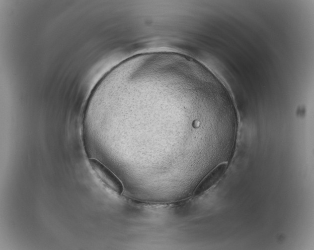 X0000112490813200909281131