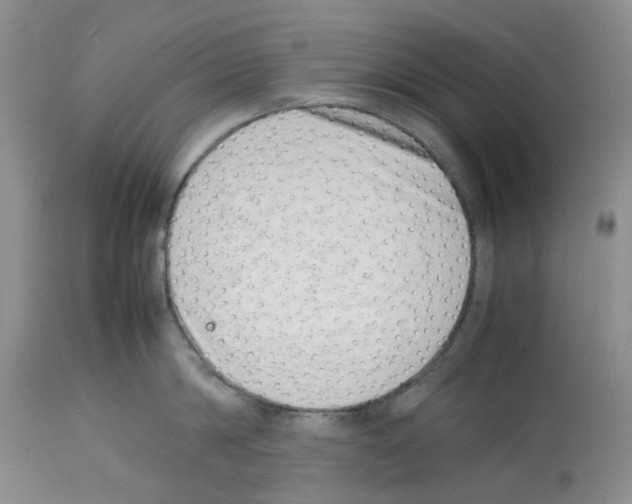 X0000112490814200909281131