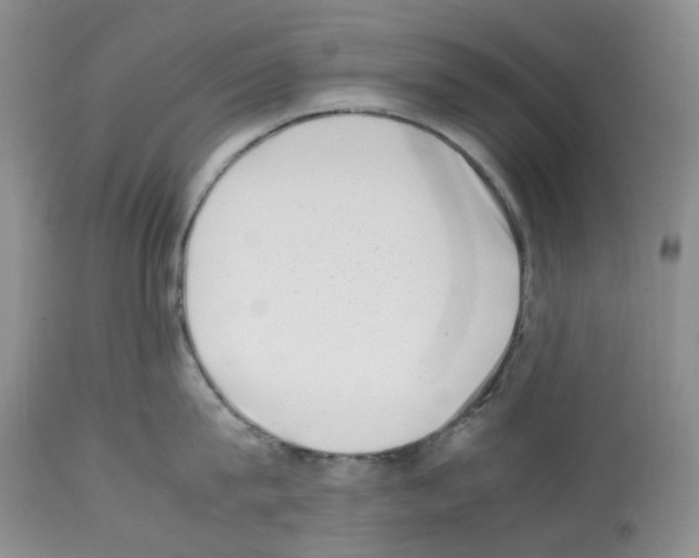 X0000112490815200909281131