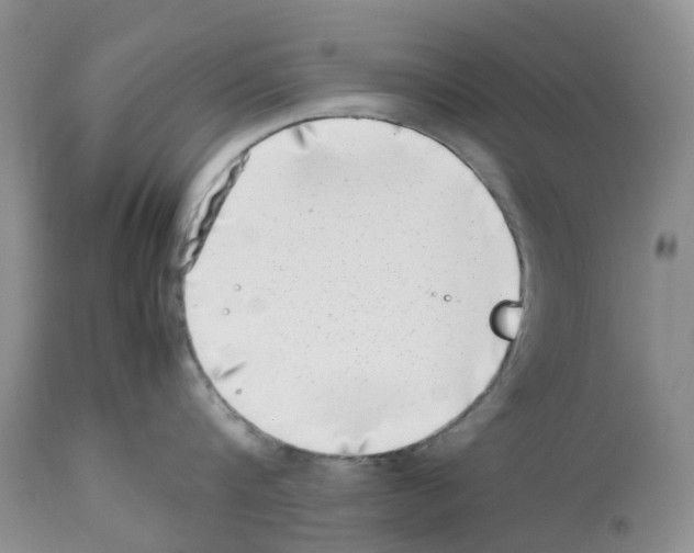 X0000112490816200909281131