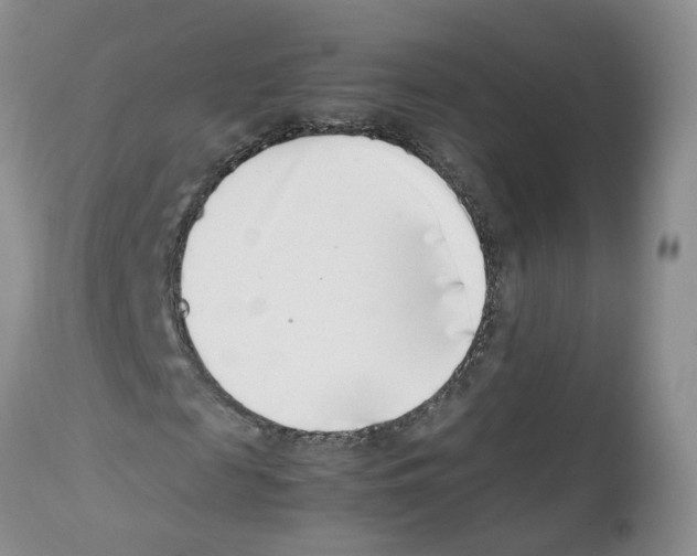 X0000112490817200909281131