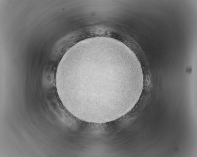 X0000112490820200909281131