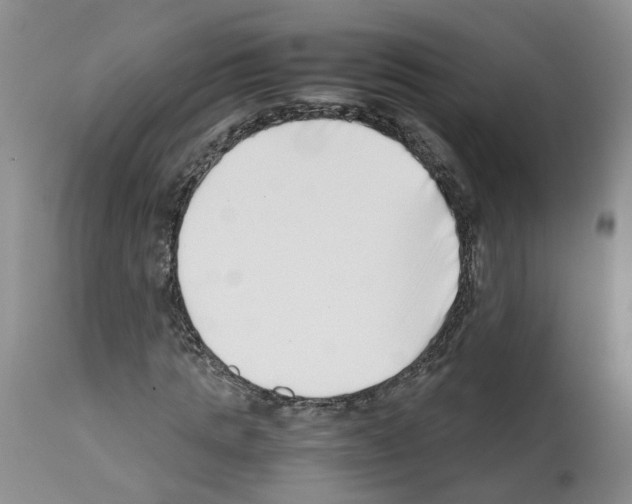 X0000112490821200909281131