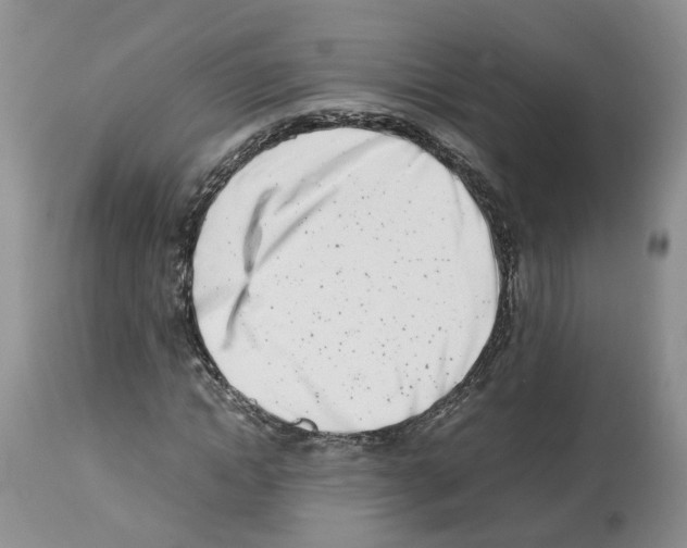 X0000112490822200909281131