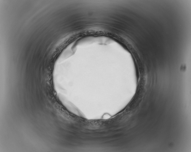 X0000112490823200909281131
