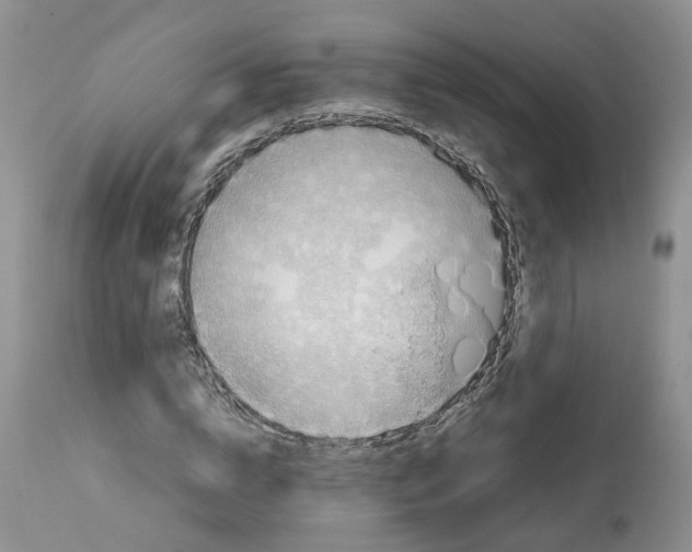 X0000112490824200909281131